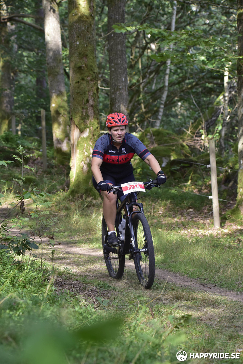 Bild från Bockstensturen 2019